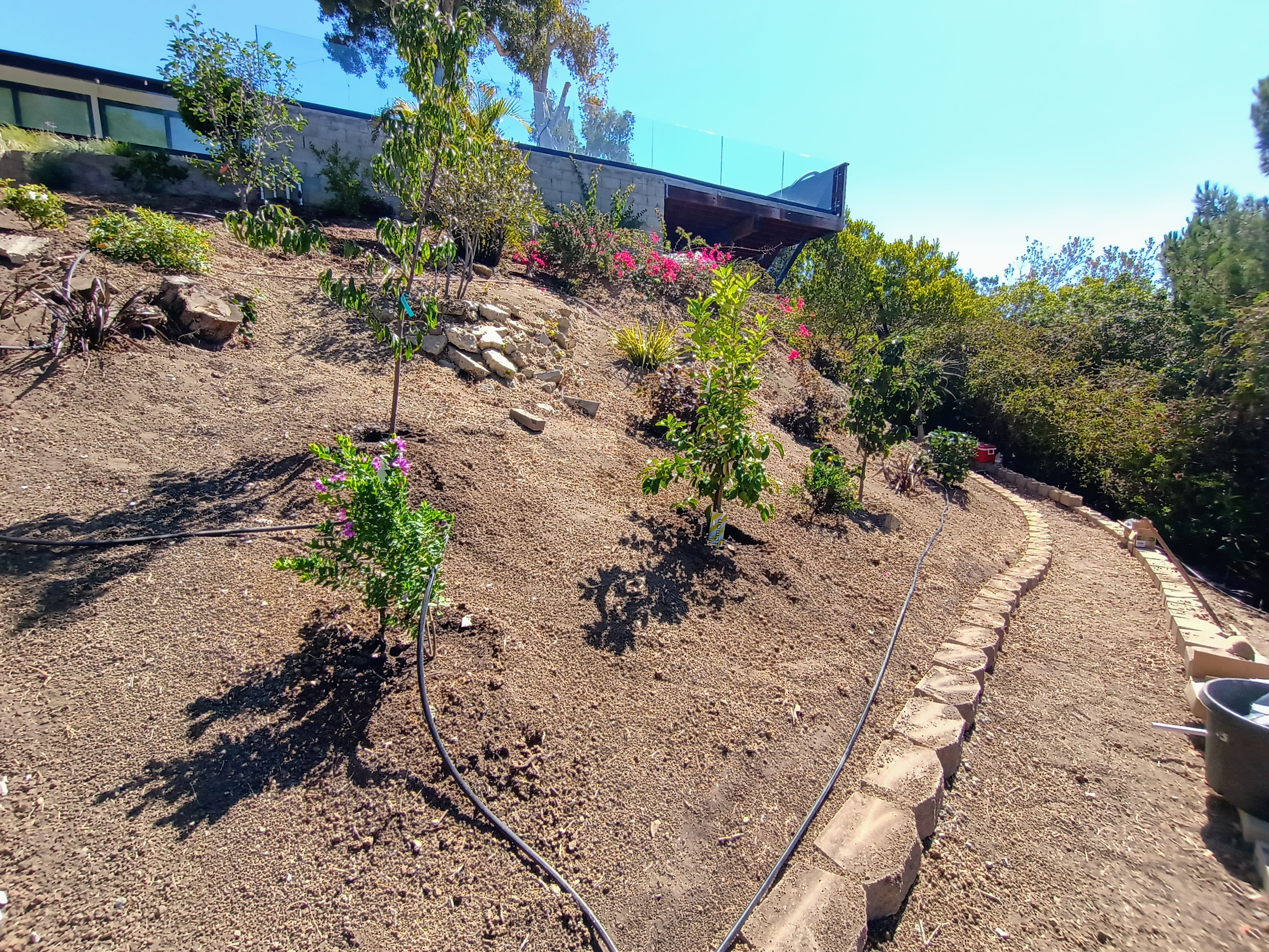 Professional Planting