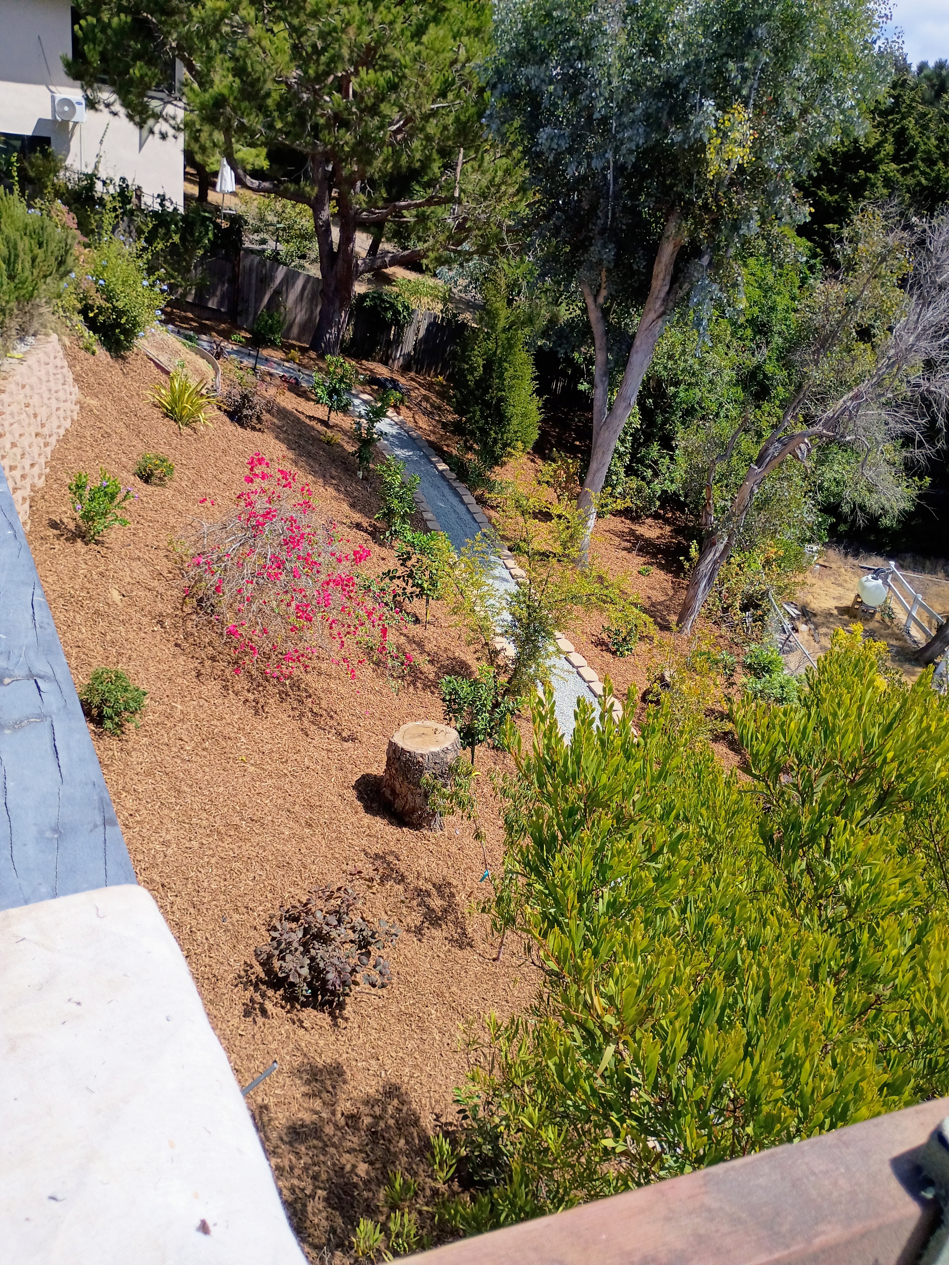 Drought Tolerant Design